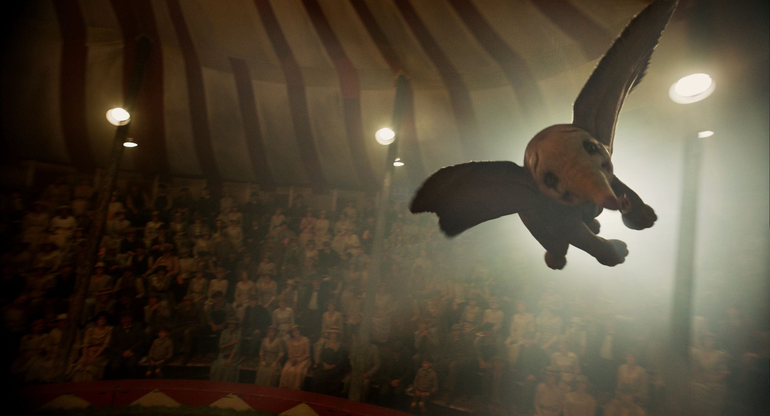 FLYING HIGH – In Disney’s new live-action adventure “Dumbo,” a newborn elephant with giant ears discovers he can fly, and he’s destined to be a star, which may or may not be a good thing. Directed by Tim Burton, “Dumbo” flies into theaters on March 29, 2019.