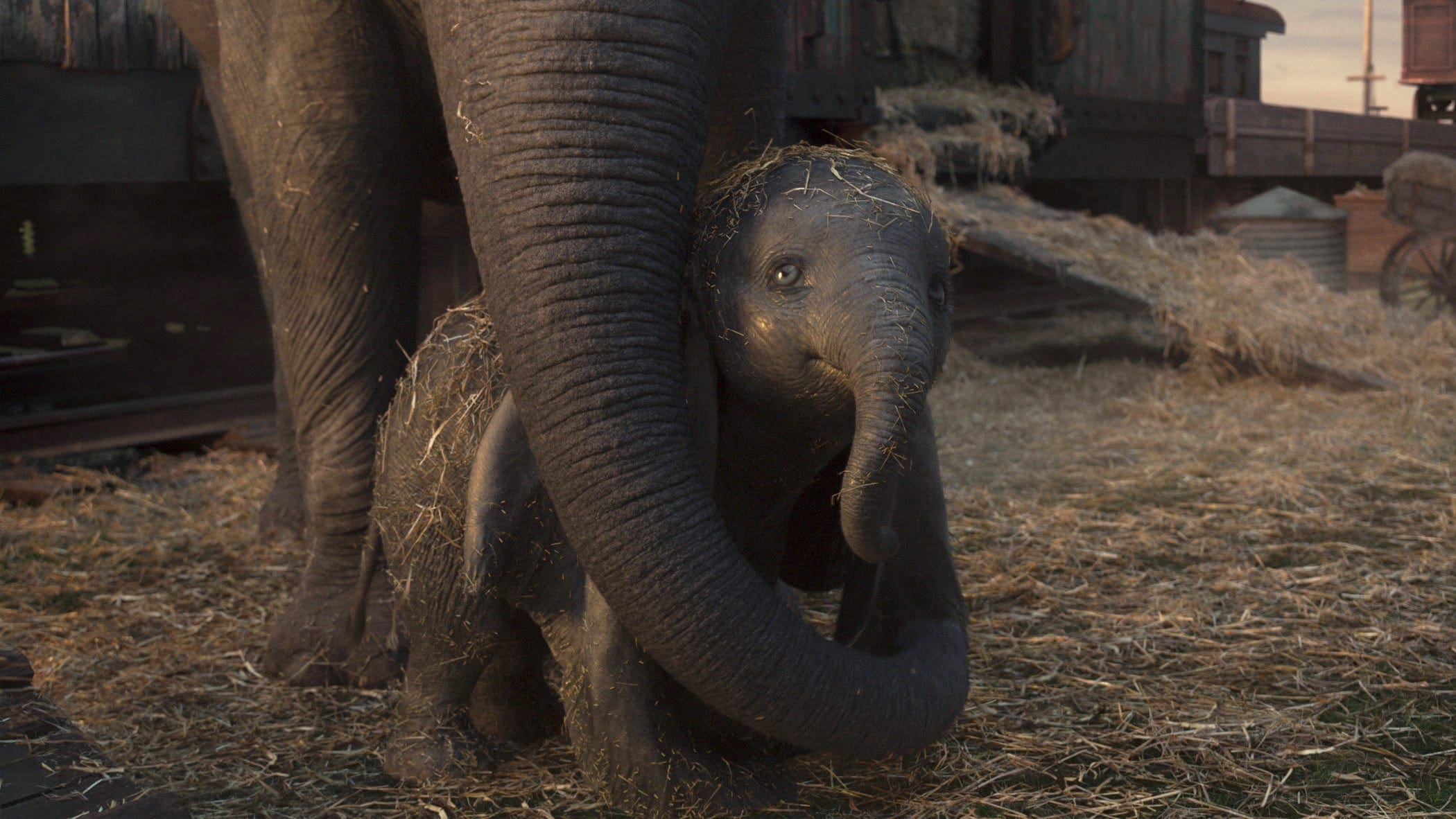 MOTHER AND SON – In Disney’s live-action reimagining of “Dumbo,” a circus owner purchases an expectant mother elephant in hopes that her adorable offspring will bring in the crowds. Directed by Tim Burton, “Dumbo” opens in U.S. theaters on March 29, 2019...© 2019 Disney Enterprises, Inc. All Rights Reserved..