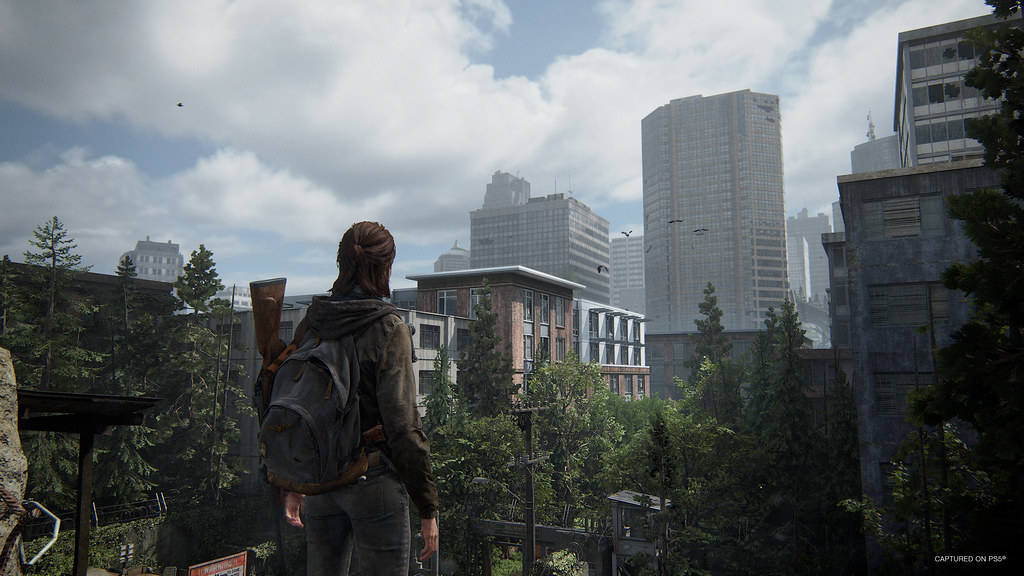 TLOU Part II Remastered (3)