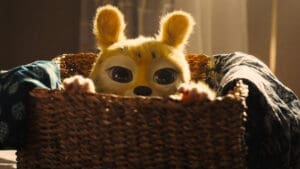 Gewinnspiel-Marsupilami_Titelbild
